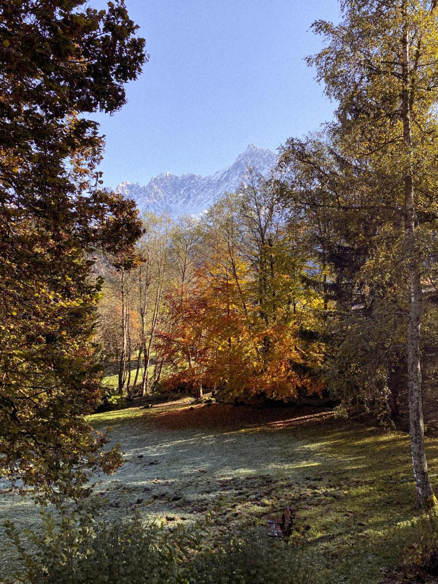 Chalet Vinales Les Houches Buitenkant foto