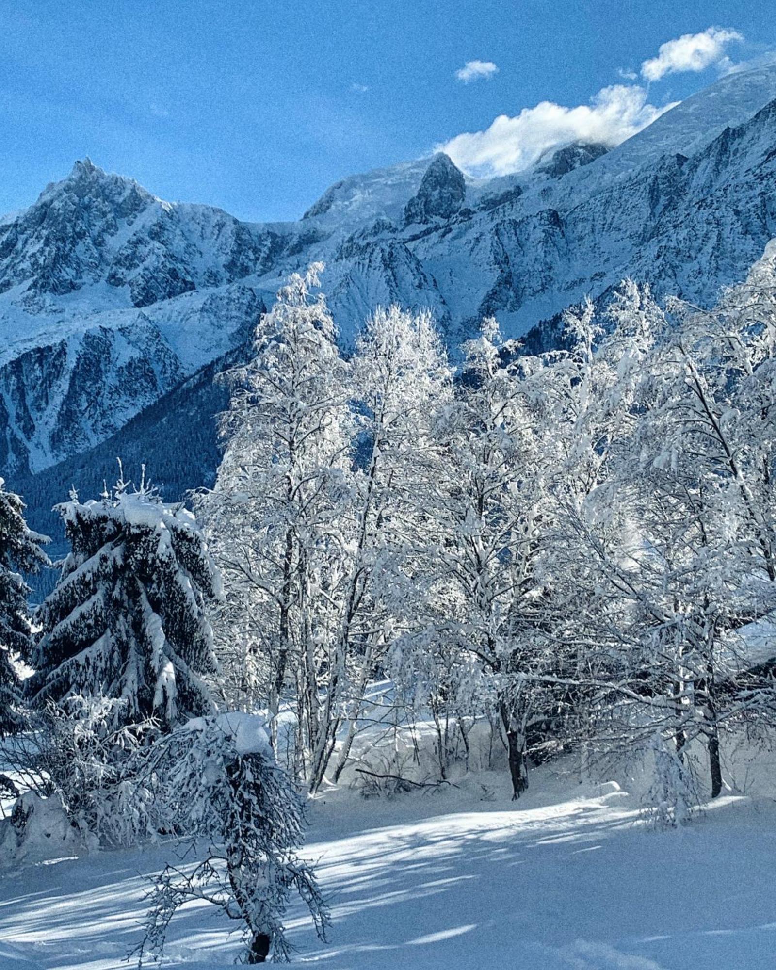 Chalet Vinales Les Houches Buitenkant foto